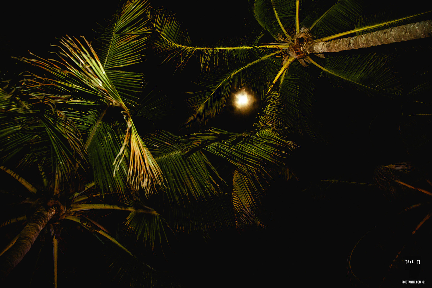 tulum-weddings