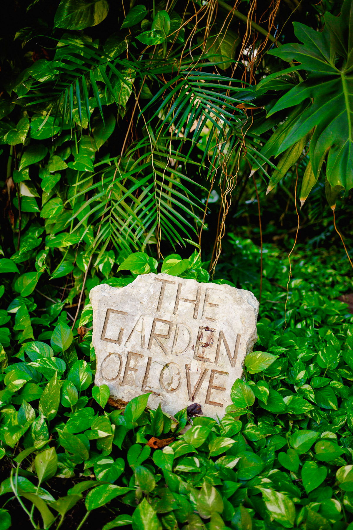 The-garden-of-love