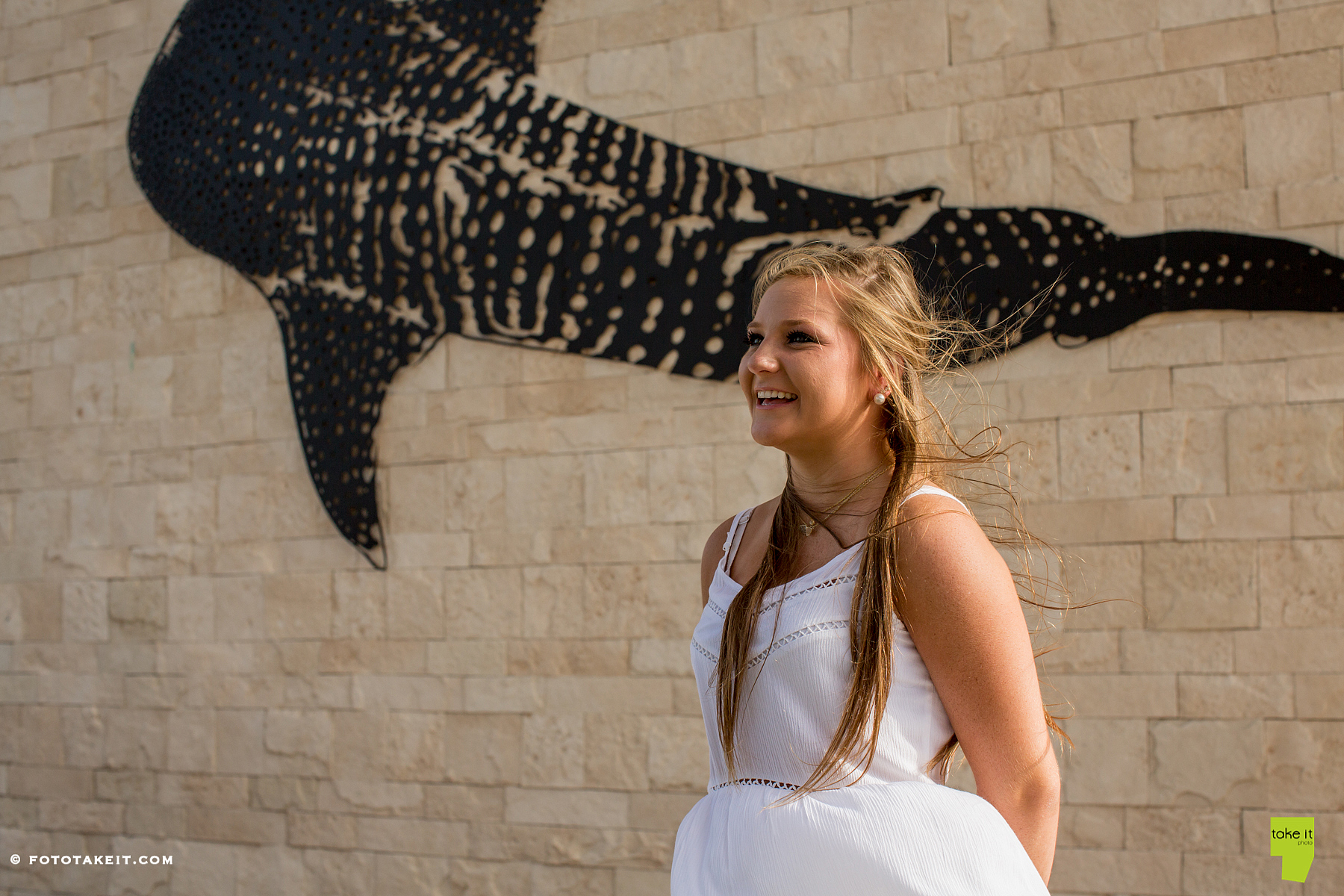 whale shark