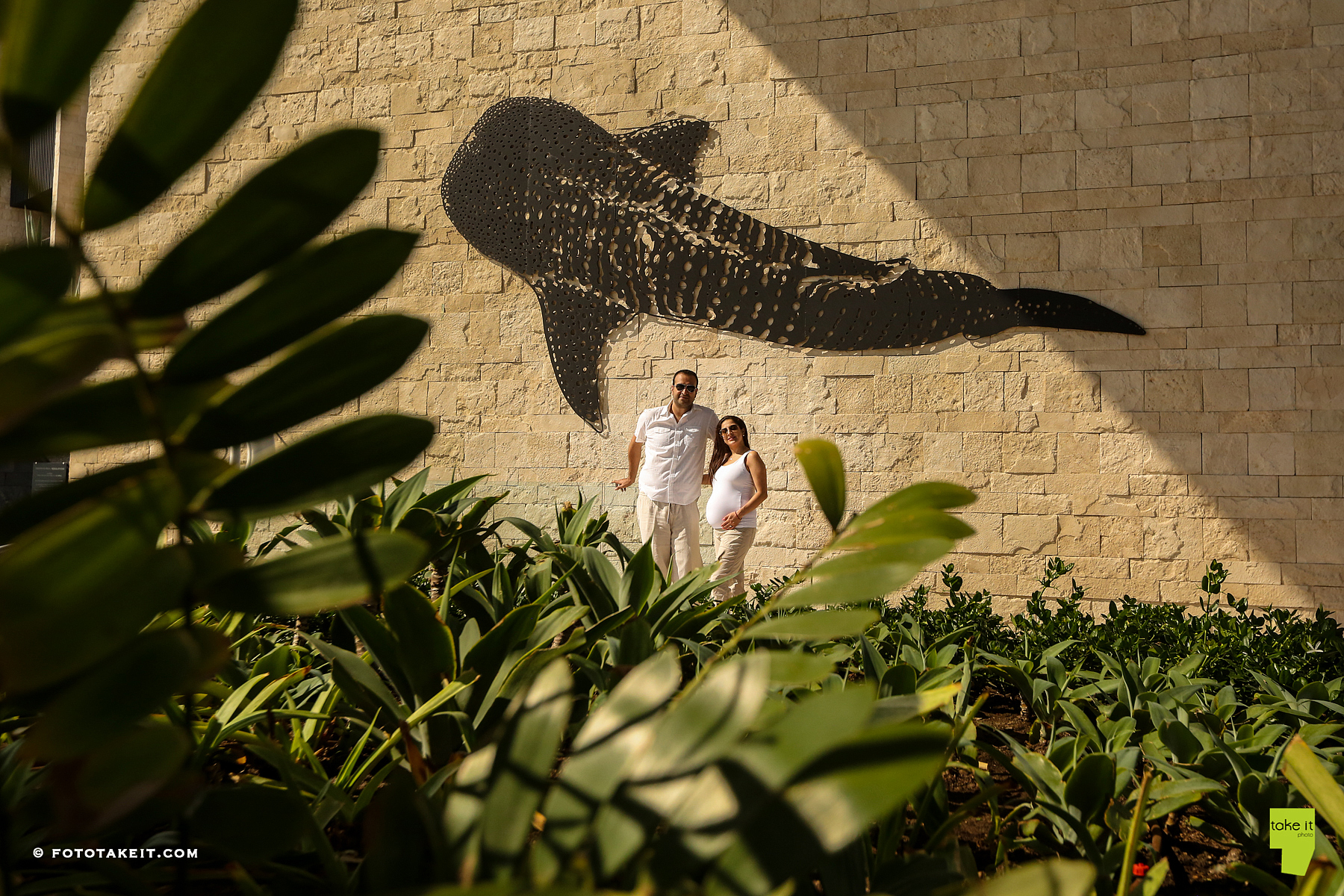 hyatt family photo session