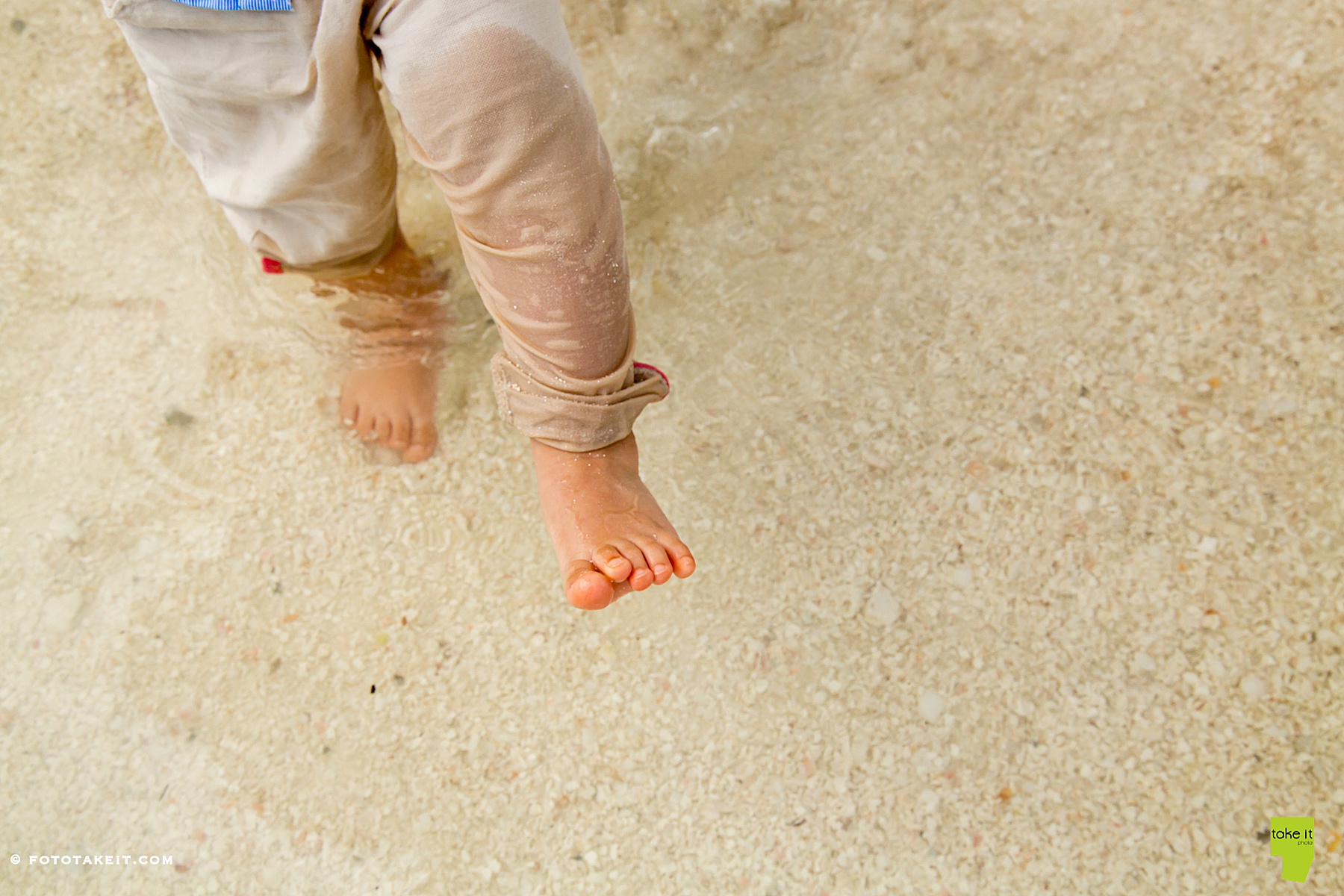 beach family photos