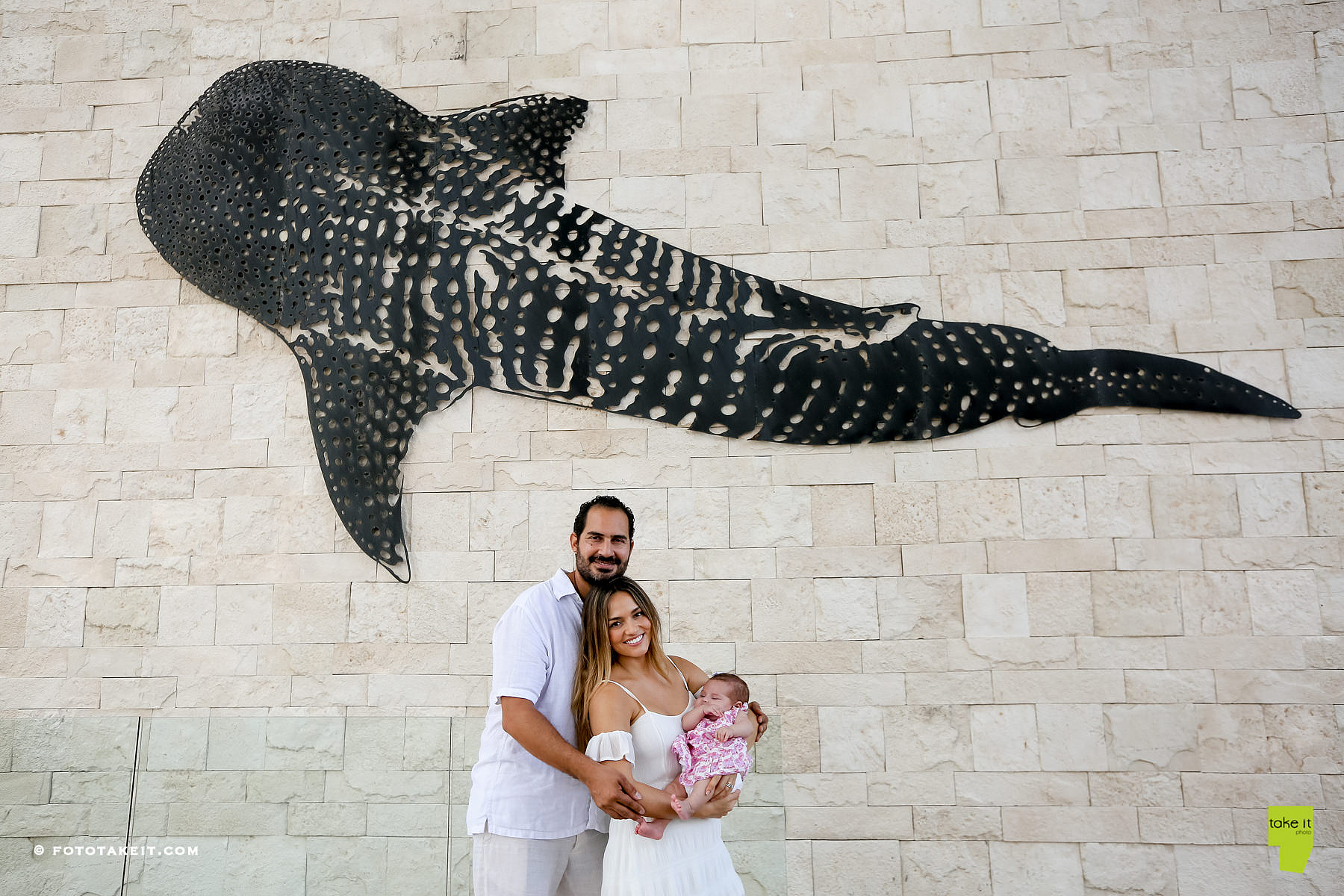 whale-shark-pool