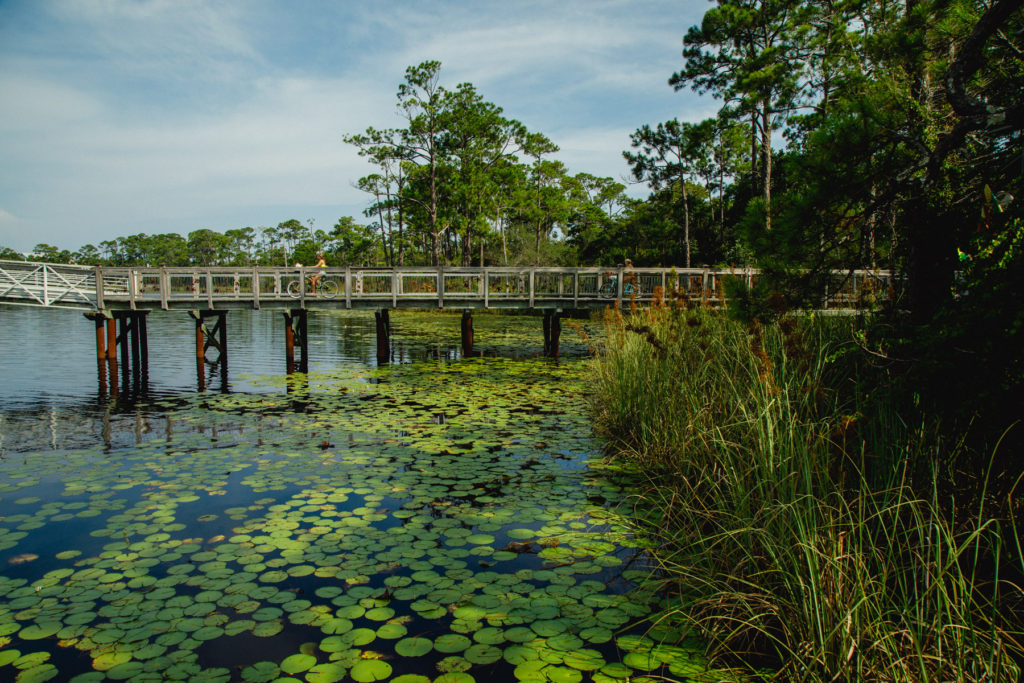 Watercolor, FL photographer on 30A